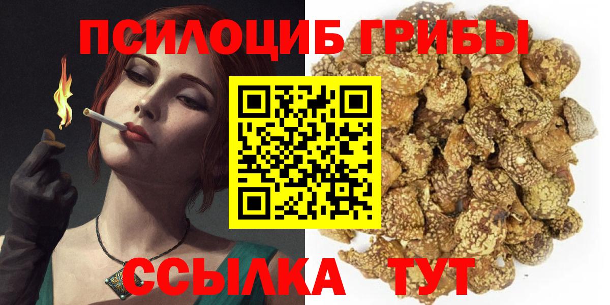 Псилоцибиновые грибы мухоморы  Вход с VPN  Шадринск  Галлюциногенные грибы мухоморы 
